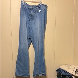 (NWOT) not your daughters jeans  (28W)